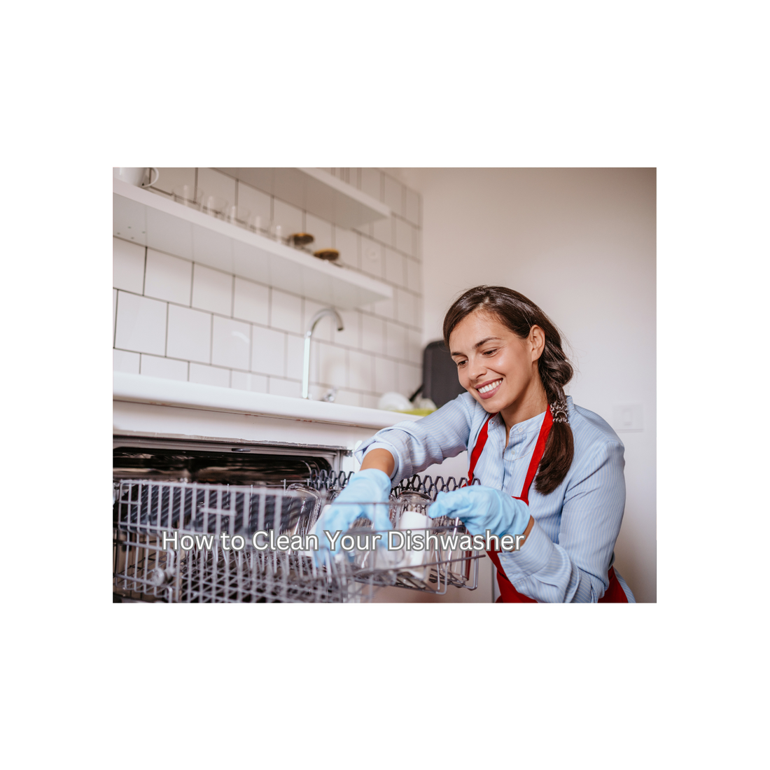 Why You Need a Dishwasher Cleaner