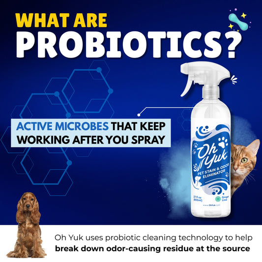 Oh Yuk Pet Stain & Odor Eliminator