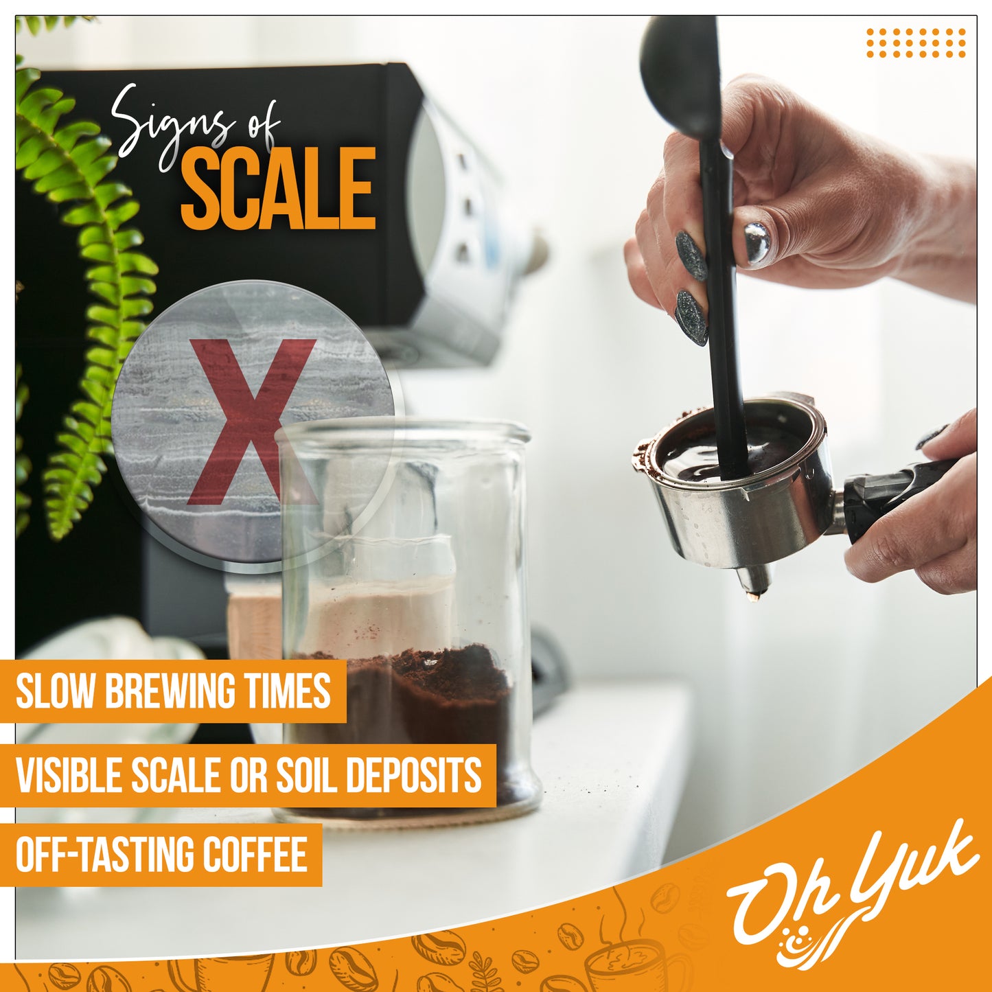 Coffee Machine Descaler