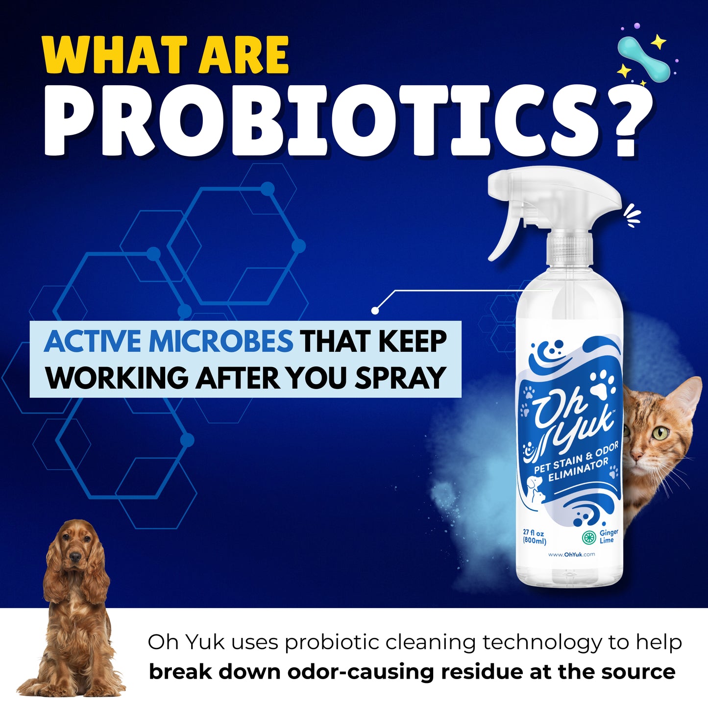Oh Yuk Pet Stain & Odor Eliminator