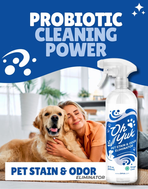 Washing Machine Cleaner