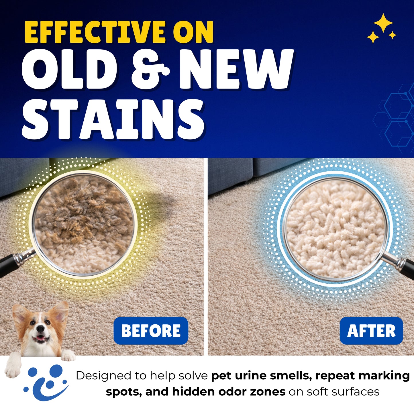 Oh Yuk Pet Stain & Odor Eliminator