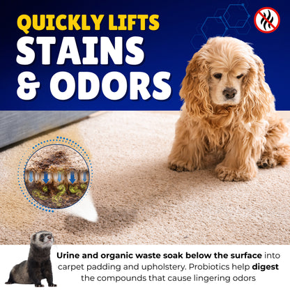 Oh Yuk Pet Stain & Odor Eliminator